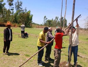 በሁሉም ቀበሌዎች በንቅናቄ የተጀመረው አዳዲስ የብልጽግና ህብረት ፅ/ቤት ግንባታ ስራዎች ተጠናክረው ቀጥሏል