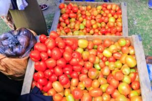 ጪውን የአረፋ በዓል በማስመልከት የፋብሪካ እና የግብርና የፍጆታ ምርቶች ለተጠቃሚው ህብረተሰብ በተመጣጠኝ ዋጋ በማቅረብ የግብይት በዛር እየተካሄደ መሆኑ ተገለፀ።